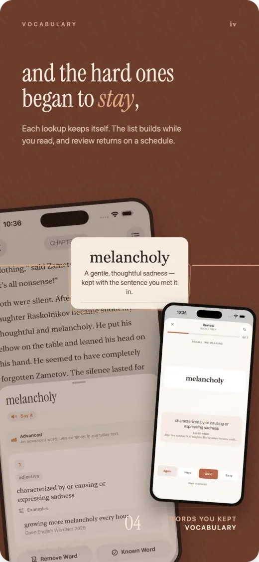A saved vocabulary word moving from its reading context into spaced-repetition review.